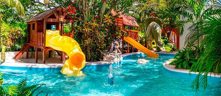 Grand Oasis Palm