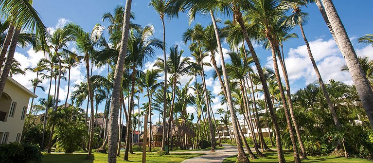 Impressive Punta Cana