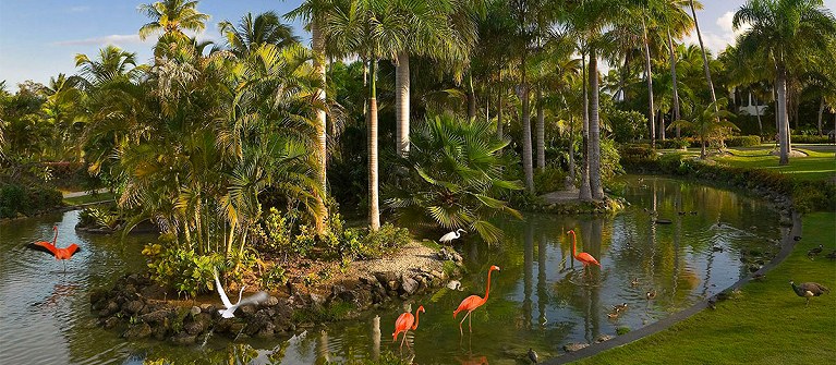 Melia Caribe Beach Resort