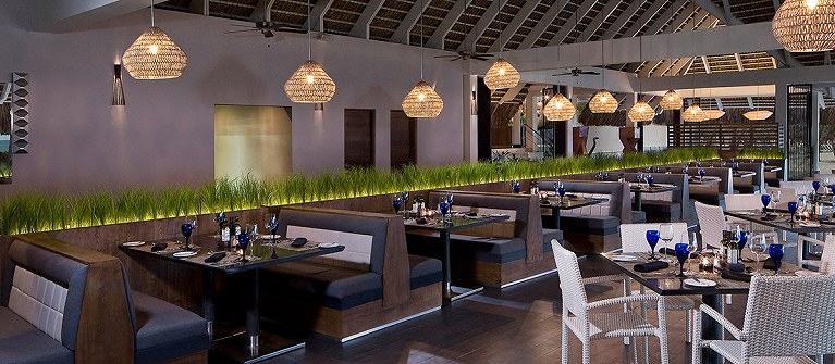 The Level At Melia Caribe Tropical