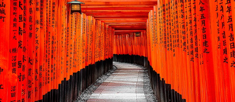 Entre paysages et traditions du Japon