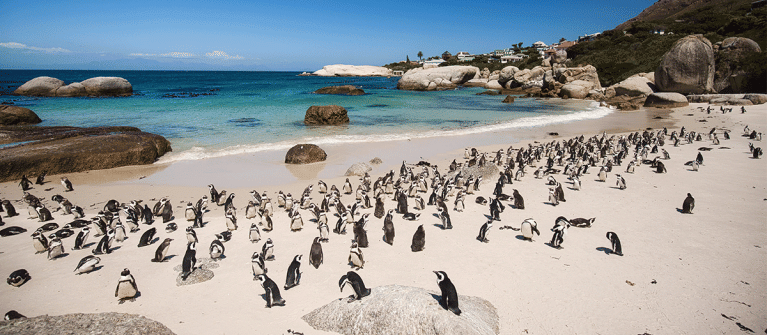 Incontournable Afrique du Sud 11 nuits