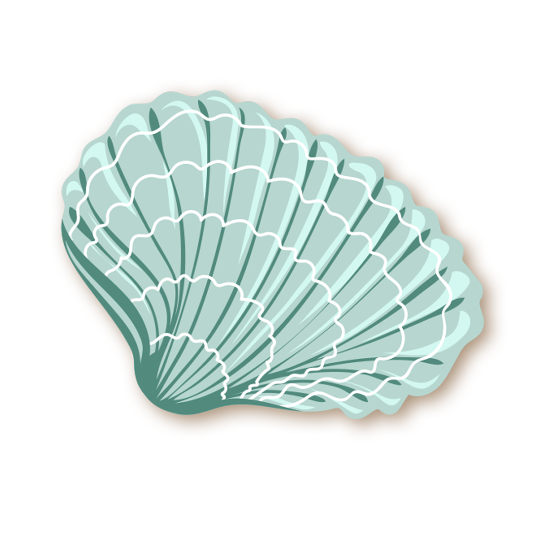 coquillage
