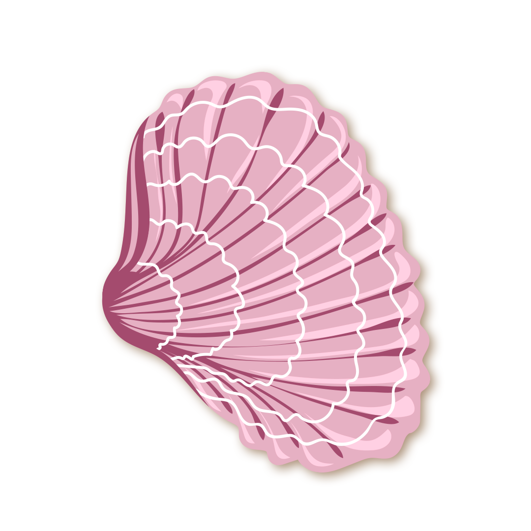 coquillage