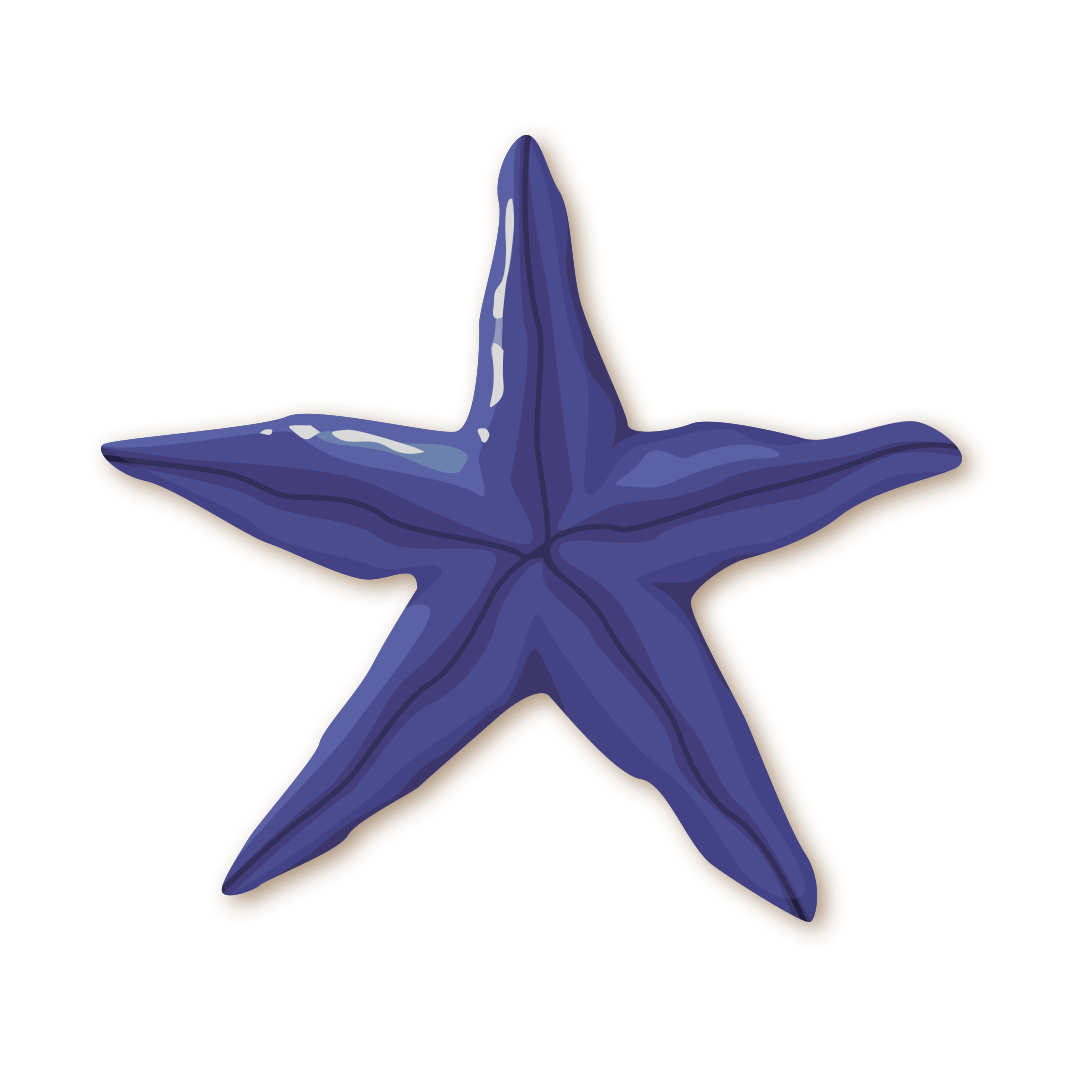 étoile de mer