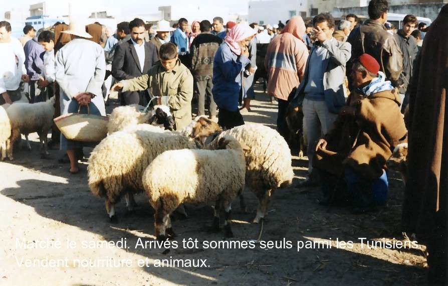 sans-titre-numrisation-39.jpg